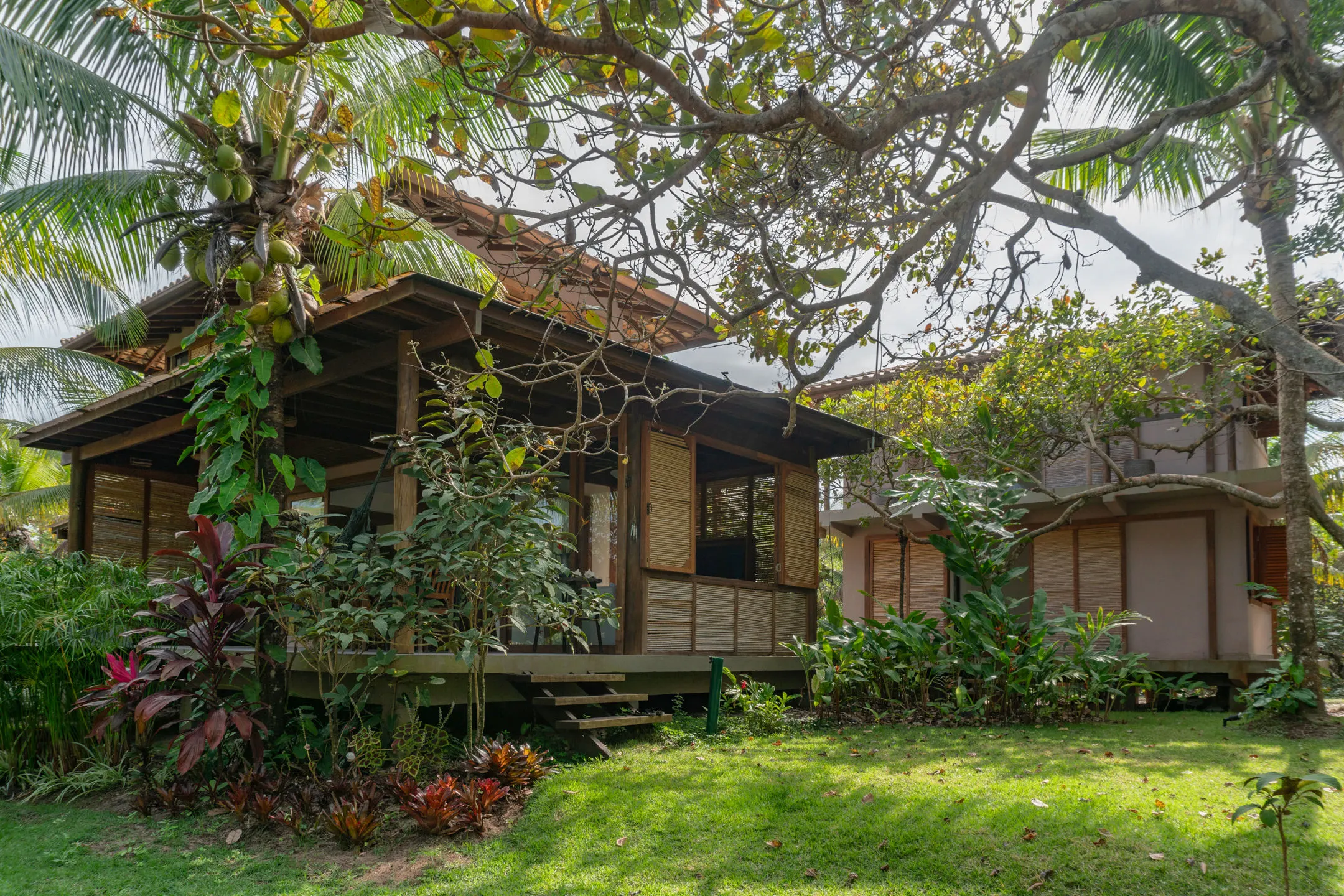 Casa de madeira tomada por trepadeira, dentro da mata