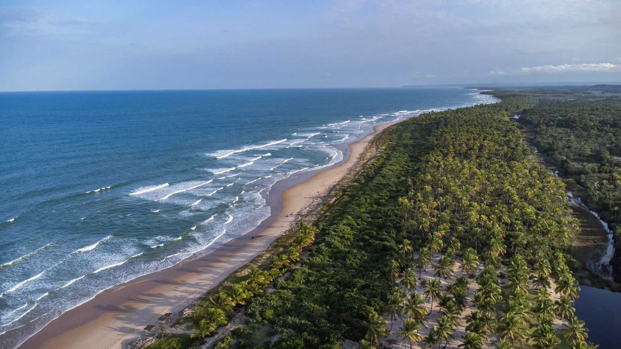 Vista aérea da faixa de praia de Algodões, com a mata ao fundo